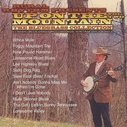 Up on the Mountain, Vol. 2