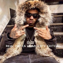 Real hasta la muerte: Éxitos