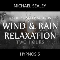 Natural Sleep Sounds: Wind & Rain Relaxation
