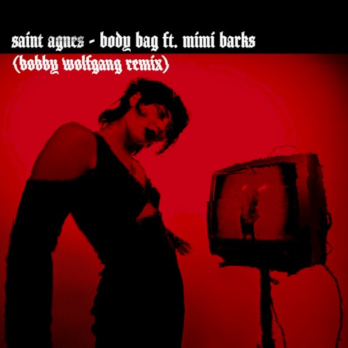 Body Bag (Bobby Wolfgang remix)