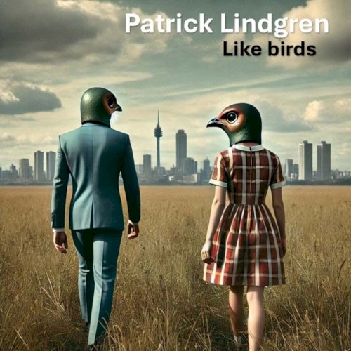 Like Birds (radio edit)
