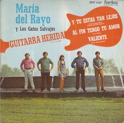 Guitarra herida