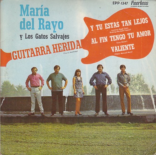 Guitarra herida