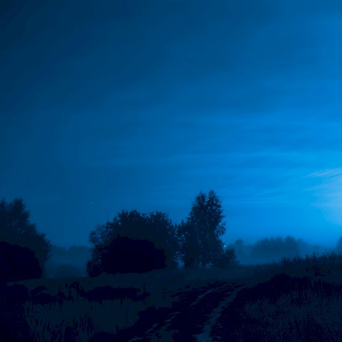 Way Home