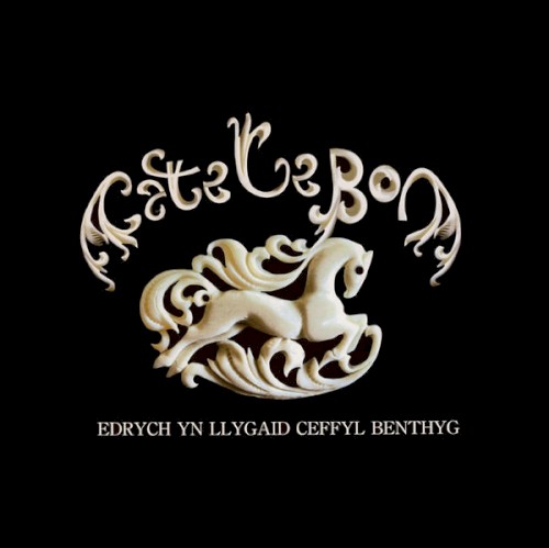 Edrych Yn Llygaid Ceffyl Benthyg