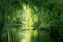 That Place of Calm