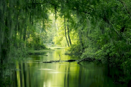 That Place of Calm