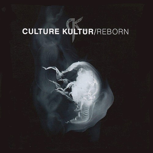 Reborn