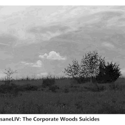 The Corporate Woods Suicides
