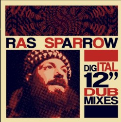 Dig-Ital 12" Dub Mixes