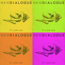Pilgrims (Christian Medice remix)