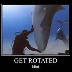 get reverbed idiot