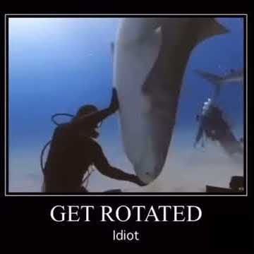 get reverbed idiot