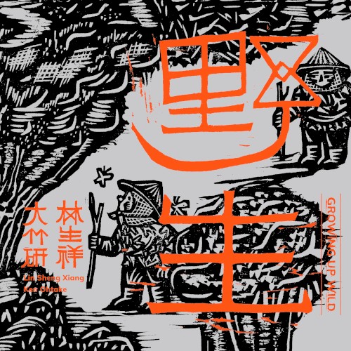 野生