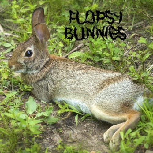 bunnies frolicking in a meadow