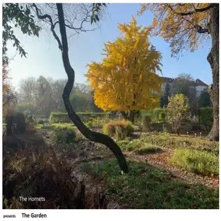The Garden