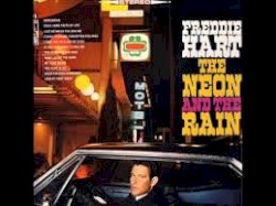 The Neon and the Rain