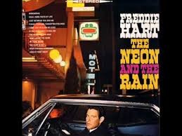 The Neon and the Rain