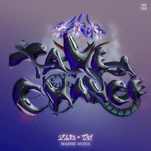 Take a Chance (Maesic remix)