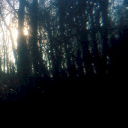 boundless thoughts