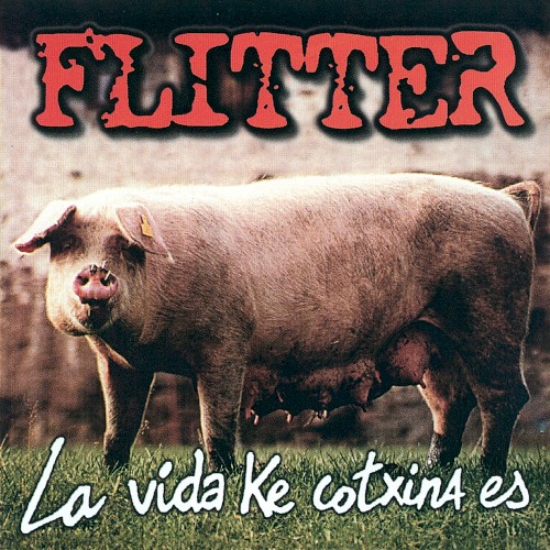 La vida ke cotxina es