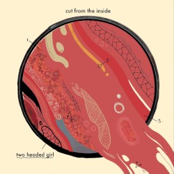Cut from the inside