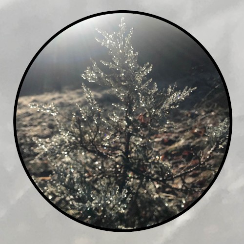 Moonlit Missive #100: 'The Dead City'