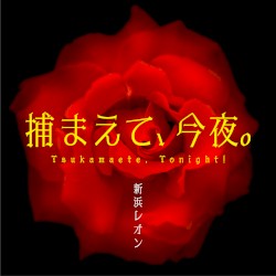 捕まえて、今夜。
