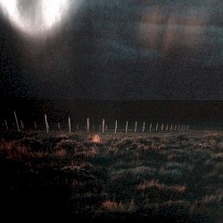 Being There