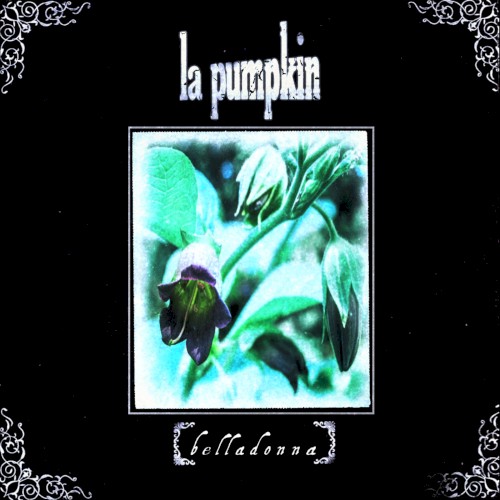 [belladonna]