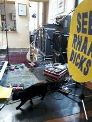 Seb & The Rhâââ Dicks (live à Rayvox) En direct de Nîmes