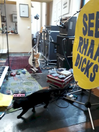 Seb & The Rhâââ Dicks (live à Rayvox) En direct de Nîmes