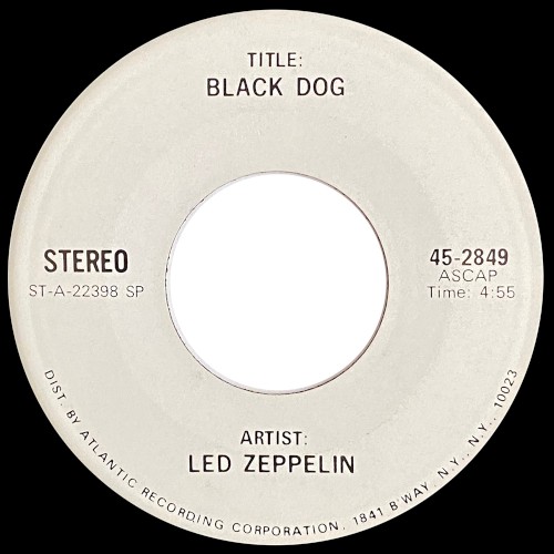 Black Dog