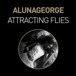Attracting Flies (Remixes)
