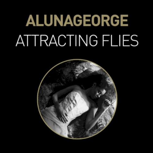 Attracting Flies (Remixes)