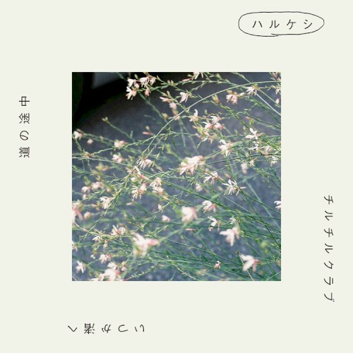 ハルケシ