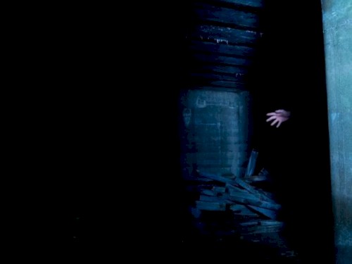 Her Shadow