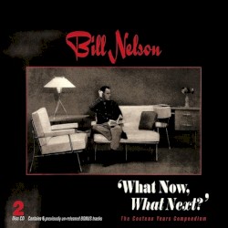 What Now, What Next?