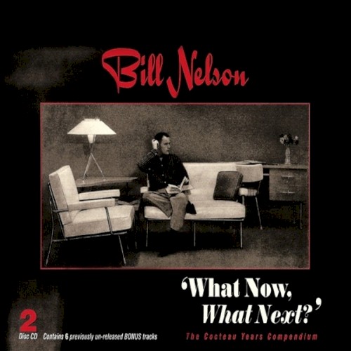 What Now, What Next?