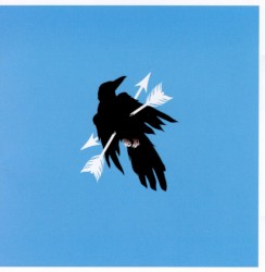 Jackdaw