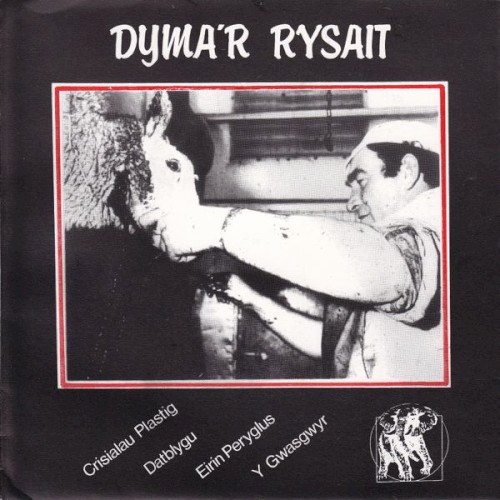 Dyma’r Rysait