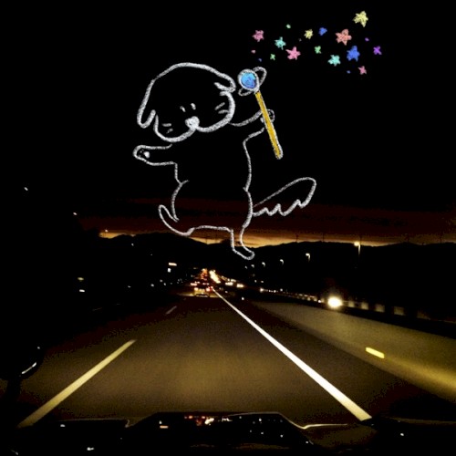 犬・魔術師