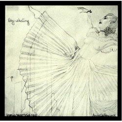Sky‐Skating