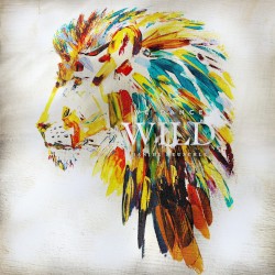 We Dance Wild