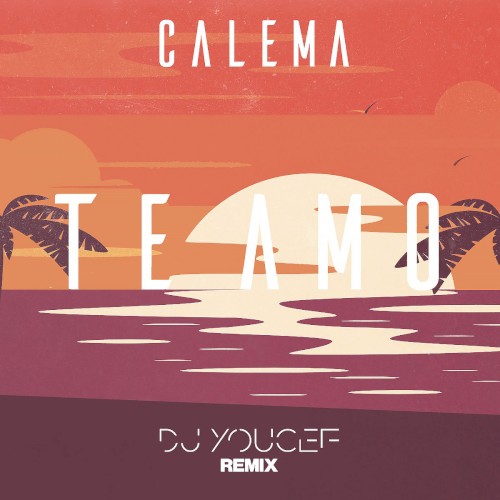 Te Amo (DJ Youcef Remix)