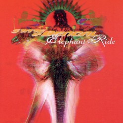 Elephant Ride/Flight IC408