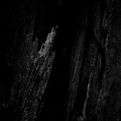 Split Identities