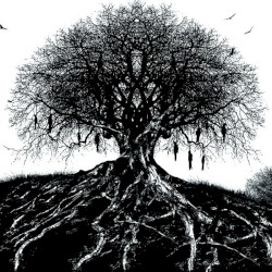 For Wolves and Vultures