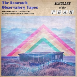 The Seawatch Observatory Tapes