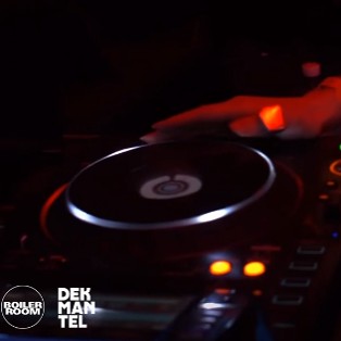 Volvox B2b UMFANG